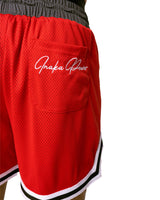 MEN'S LEAGUE MESH SHORTS - BRICK RED